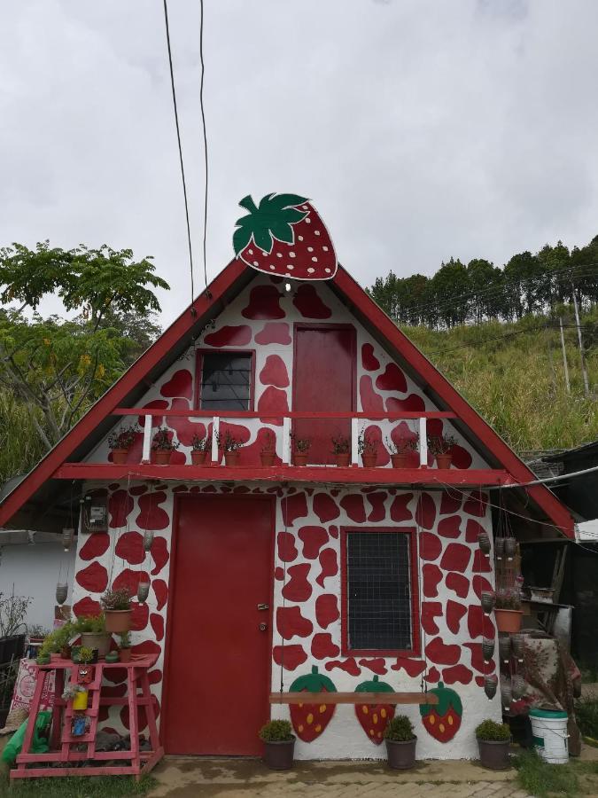 Berries Residence Kampong Kundassan Zewnętrze zdjęcie