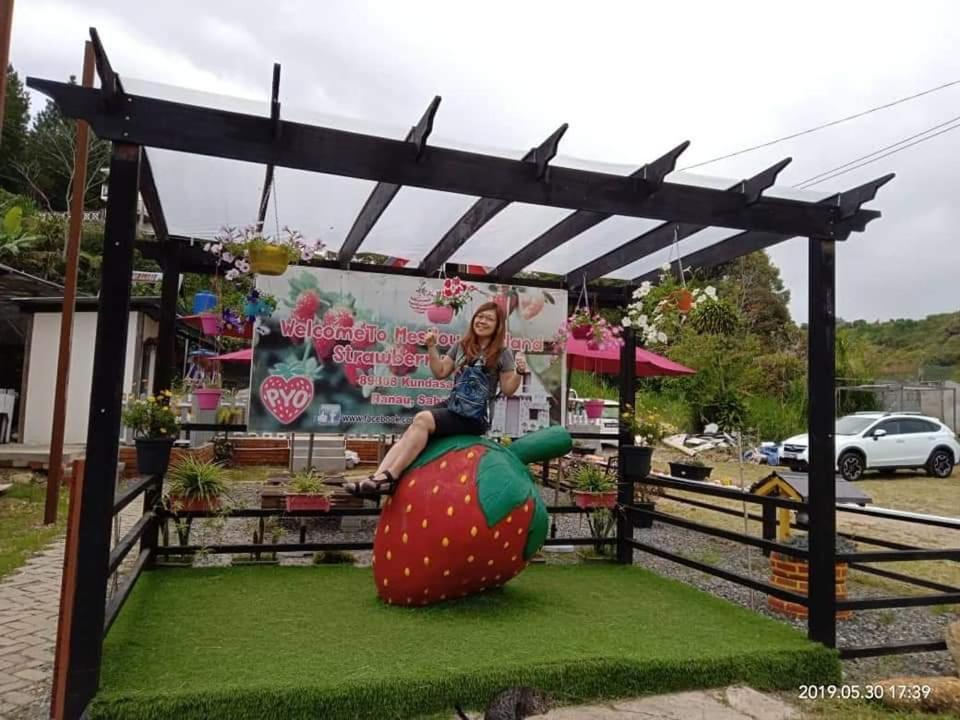 Berries Residence Kampong Kundassan Zewnętrze zdjęcie